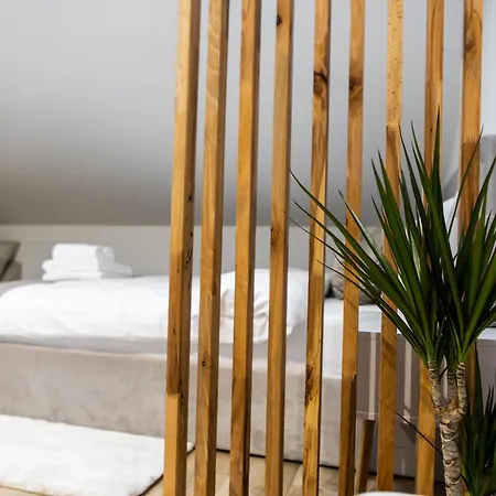 Cozy Corner 2 דירה קלוז'-נאפוקה